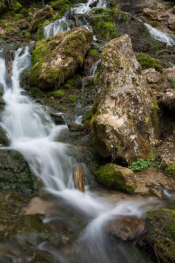 Cesis şehri, Letonya. Yeşil yosun ve dolomit kayaları olan eski şelale. 19.04.2020
