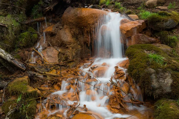 Cesis şehri, Letonya. Yeşil yosun ve kırmızı kayalıklı eski şelale. 20.04.2020