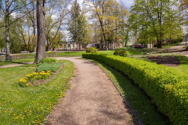 Ciudad Cesis Letonia Antiguo Parque Histórico Primavera Con Verde 2020 — Foto de Stock