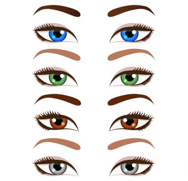 Dizi karikatür güzel kadın gözleri ve kaşları. Vektör illustr