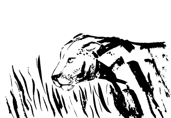 Leone sulla natura disegno a mano isolato su uno sfondo bianco — Vettoriale Stock