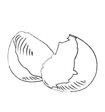 Kroki piktogram izole yumurta vektör simge