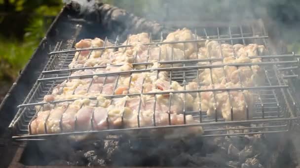Chicken meat fried on a barbecue grill. — Stock Video