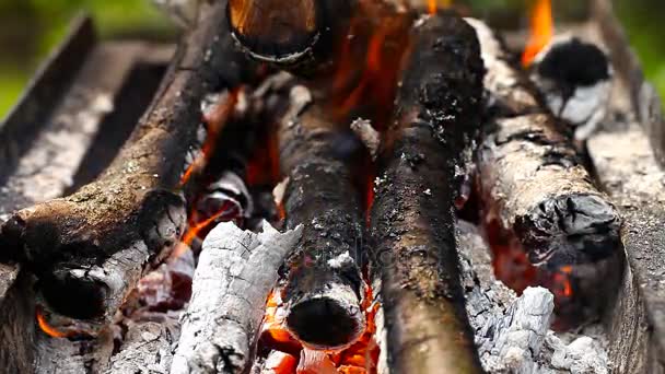 Grumes brûlent avec une flamme vive — Video