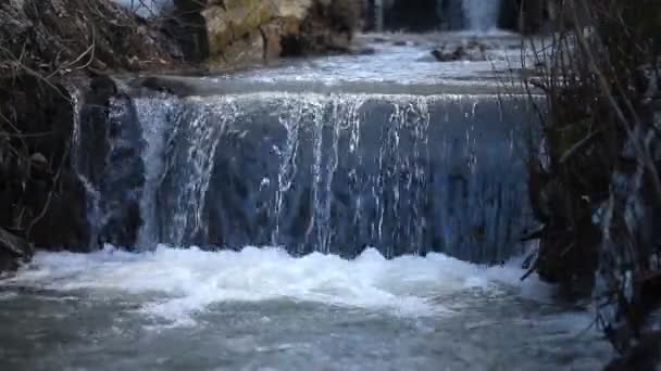 Водный поток в ручье после дождя — стоковое видео
