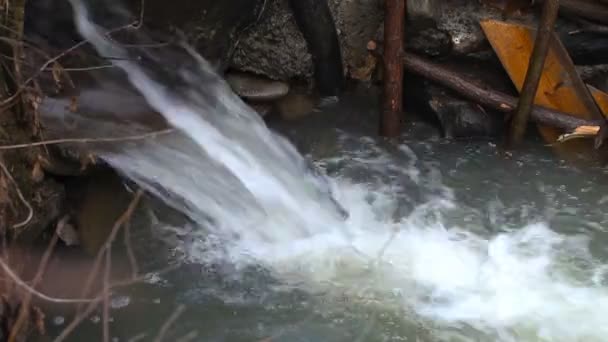 Водяний струмок у струмку після дощу — стокове відео