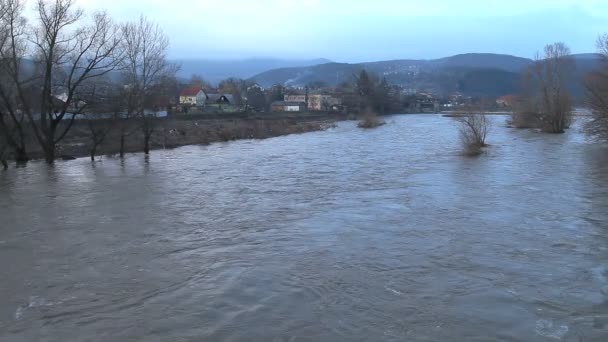 Rivière a éclaté ses rives — Video