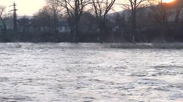 River burst its banks — Stock Video