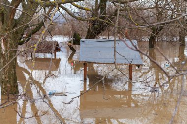 Yağışların sürmesi sonra nehir dışında bankalar geldi. Nehir kıyısında ağaçlar sonra sel sel