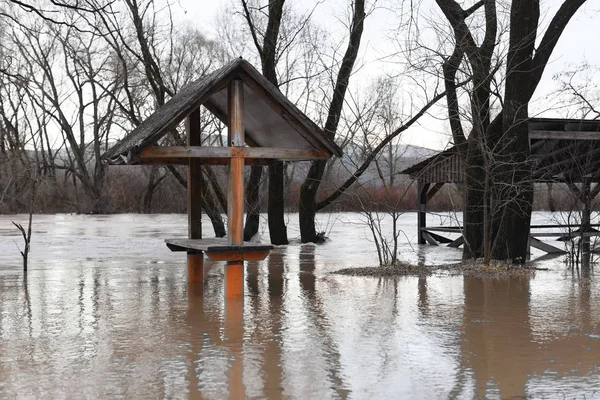 Rivier Stortregens Kwam Uit Banken Overstroming Van Rivier Bomen Overstroming — Stockfoto