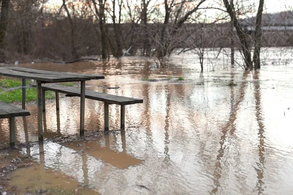 Rivier Stortregens Kwam Uit Banken Overstroming Van Rivier Bomen Overstroming — Stockfoto