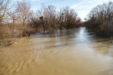 Nehir kıyıları dışında duş geldikten sonra