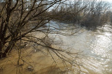 Nehir kıyıları dışında duş geldikten sonra