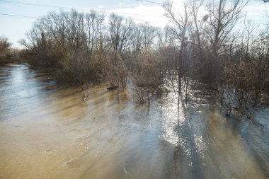 Nehir kıyıları dışında duş geldikten sonra
