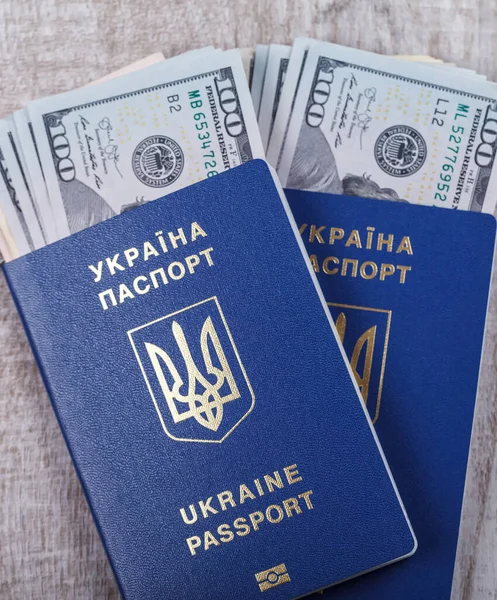 Український Біометричний Паспорт Дерев Яному Тлі Краєвид Документ Дозволяє Подорожувати — стокове фото