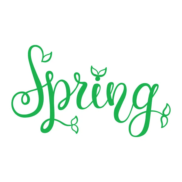 Letras de mano primavera sobre fondo blanco — Archivo Imágenes Vectoriales