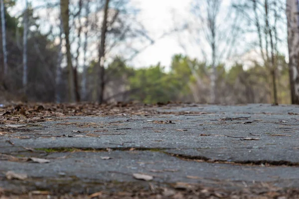 Niedrige Straßenaufnahme Von Herbstblättern — Stockfoto