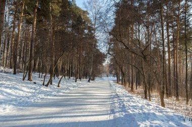 Kış manzarası, kışın yol..