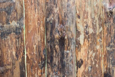 Ahşap doku arka planı. Ham tahtalar