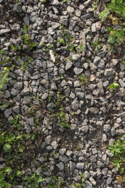 Taşlı, topraklı ve otlu doğal doku.