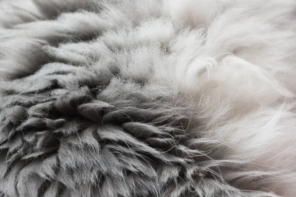 Animal Wool Background Gray White Fur — Stock Photo, Image