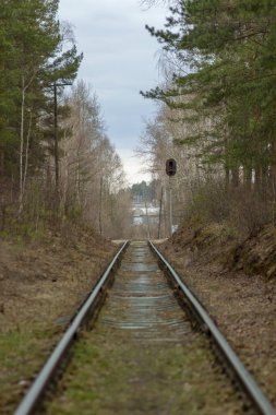 Demiryolu ormandaki ağaçların arasından geçiyor. Sığ alan derinliği.
