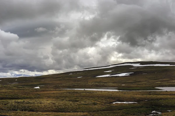 Hardangervidda 국립 공원 — 스톡 사진