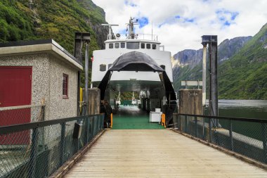 Naeroyfjord feribotla yükleme