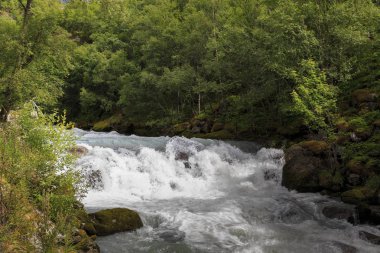 Bir dağ nehir Whitewater