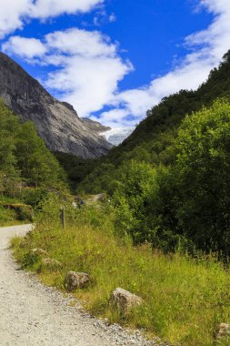 Briksdalsbreen Buzulu 