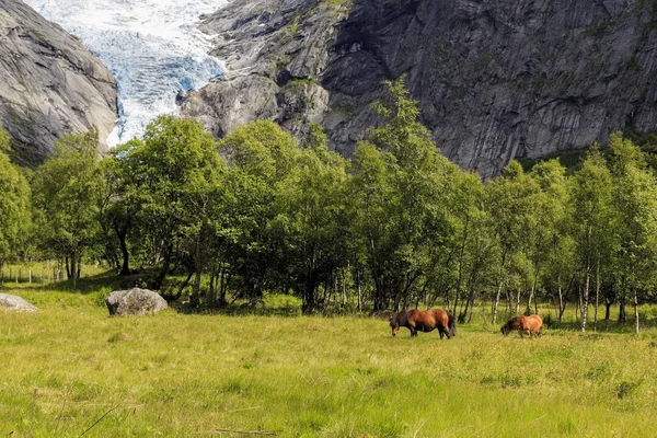 Parku Narodowego Jostedalsbreen, Norwegia — Zdjęcie stockowe