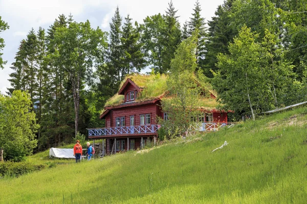 Norwegian village house — Stock Photo, Image