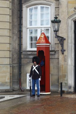 Kraliyet Sarayı, Copenhagen koruma