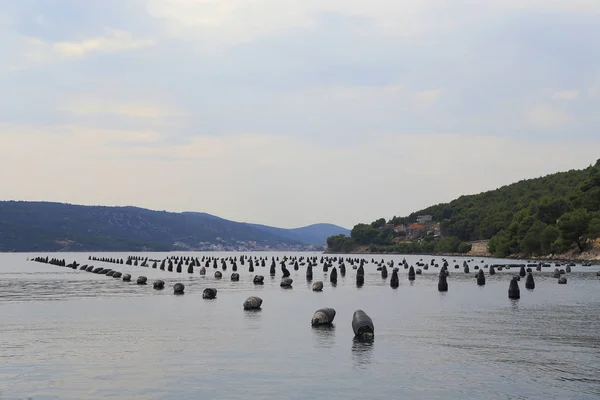 Oyster gård i Kroatien — Stockfoto