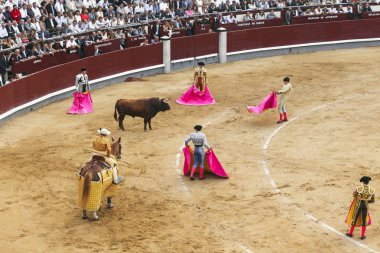Corrida Las Ventas Bullring, Madrid