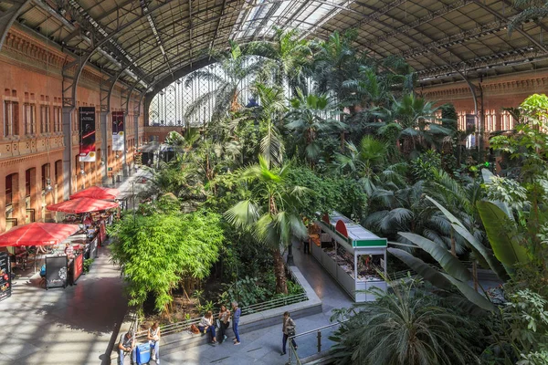 Wintergarten am Bahnhof Atocha, Madrid — Stockfoto