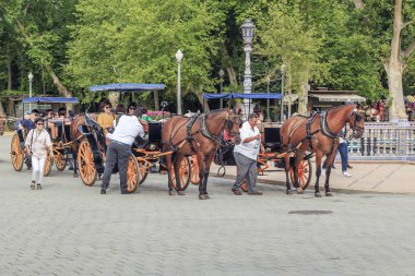 Bir yürüyüş ve küçük yük arabalar