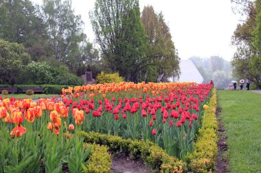 Ulusal Botanik Bahçesi, Kiev