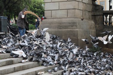 Plaza Katalonya güvercin besleme