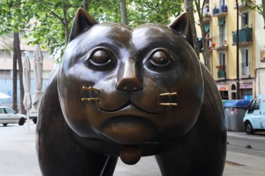 Barcelona'da kedi