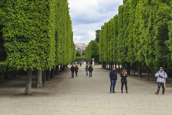 Аллея парка Шонбрунн, Вена
