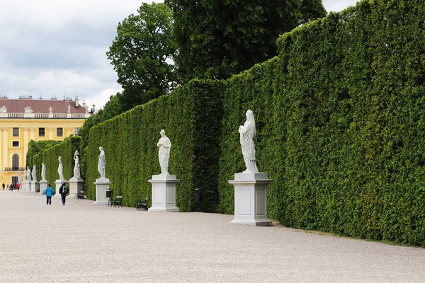 Schonbrunn Parkı, Viyana — Stok fotoğraf