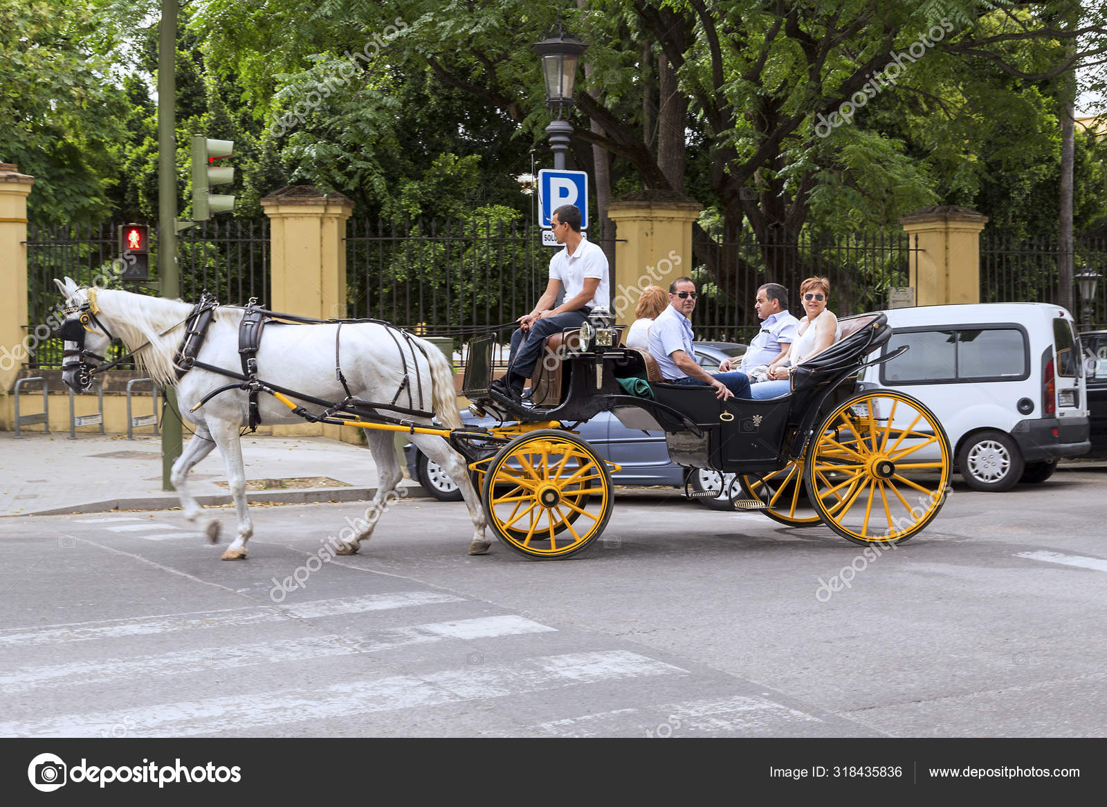 horse drawn carriage tours
