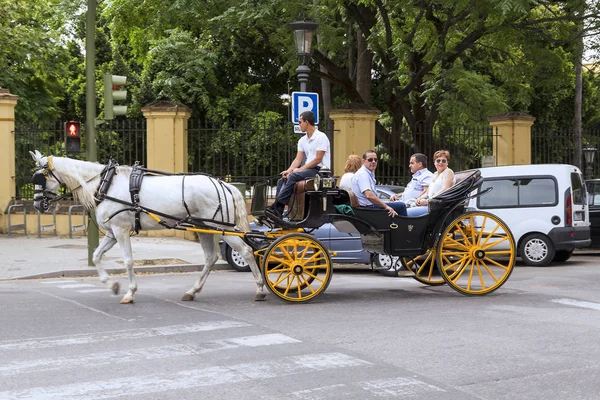 Horse-drawn carriage ride in Seville, Spain — Stock Photo, Image