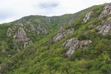 Avusturya 'daki Dunkelsteinwald Orman Tepeleri