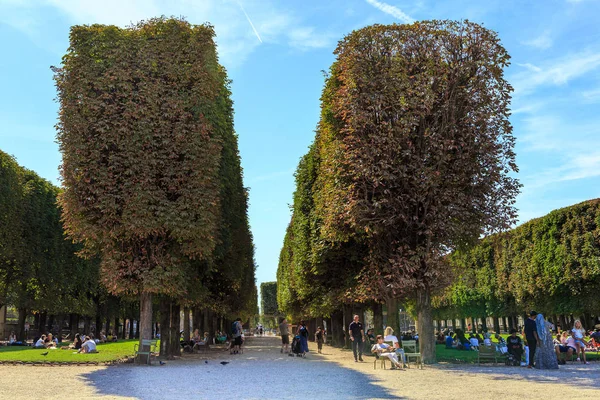 Jardines de Luxemburgo en París —  Fotos de Stock