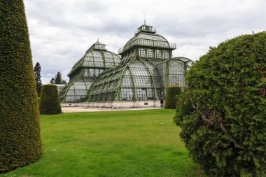 Viyana, Schonbrunn Park 'taki Palm House.