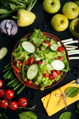 Parlak sulu düşük kalorili diyet vegan salata domates, salatalık ve marul karanlık bir yüzey üzerinde. Yeşil çevre sebze ve Yeşiller, ıspanak, elma, biber, soğan. Vejetaryen, vegan kavramı