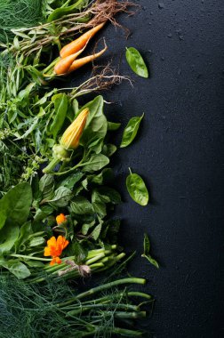 Kompozisyon sebze ve otlar. Fesleğen, dereotu, nane, kokulu, squash çiçek, genç havuç ve otlar ve baharatlar karanlık bir yüzeye. Vejetaryen, vegan kavramı. Metin için yer