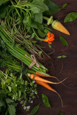 Kompozisyon sebze ve otlar. Fesleğen, dereotu, nane, kokulu, squash çiçek, genç havuç ve otlar ve baharatlar koyu ahşap yüzeyde. Vejetaryen, vegan kavramı
